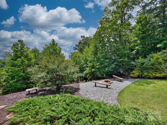 view of home's community featuring a yard