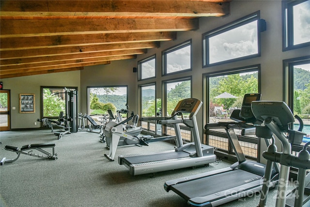 gym featuring carpet and vaulted ceiling