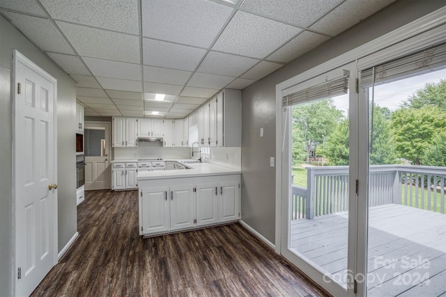 kitchen with sink, white cabinetry, and dark hardwood / wood-style floors