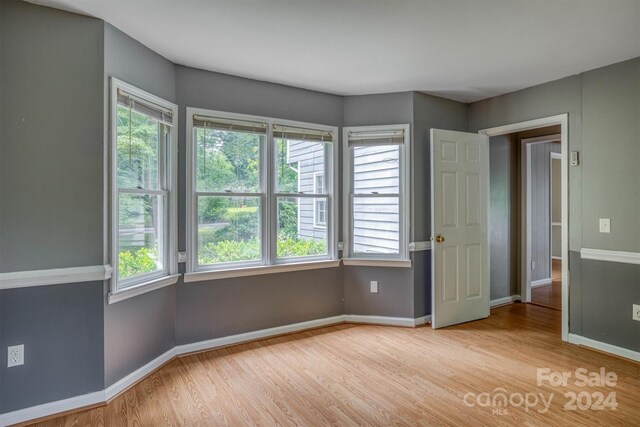 unfurnished room featuring a wealth of natural light and light wood-type flooring