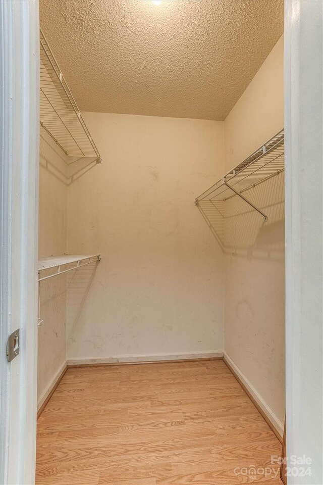 spacious closet with light hardwood / wood-style flooring