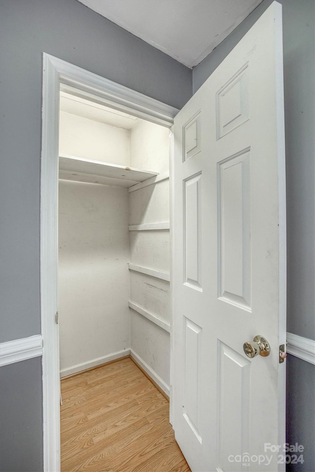 walk in closet with light hardwood / wood-style flooring