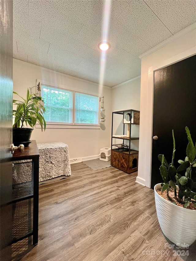 interior space with hardwood / wood-style floors, ornamental molding, and a textured ceiling