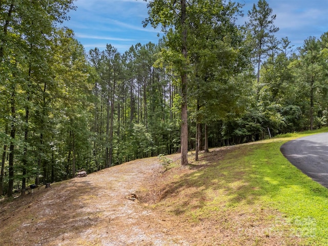 LOT119 Creekside Cir, Rutherfordton, NC 28139 - photo 3