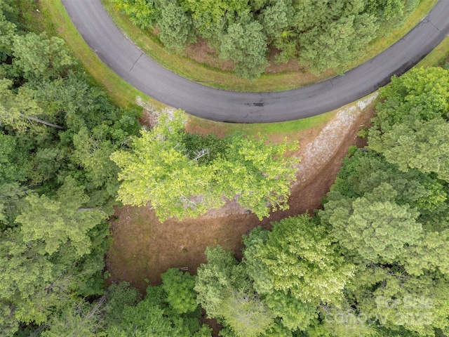 LOT119 Creekside Cir, Rutherfordton, NC 28139 - photo 4