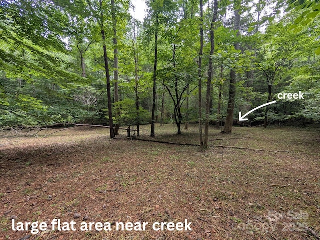 LOT119 Creekside Cir, Rutherfordton, NC 28139 - photo 2