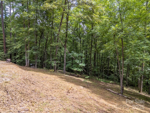 LOT119 Creekside Cir, Rutherfordton, NC 28139 - photo 7