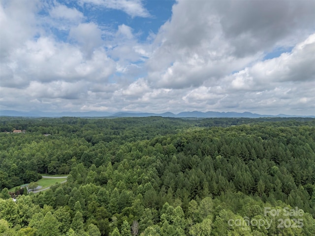 LOT119 Creekside Cir, Rutherfordton, NC 28139 - photo 9