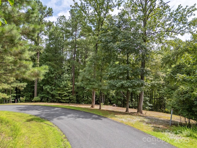 LOT119 Creekside Cir, Rutherfordton, NC 28139 - photo 28