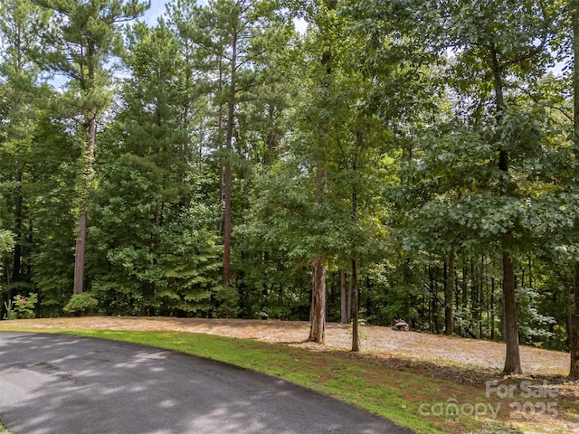 LOT119 Creekside Cir, Rutherfordton, NC 28139 - photo 29