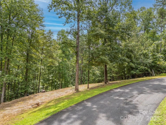 LOT119 Creekside Cir, Rutherfordton, NC 28139 - photo 30