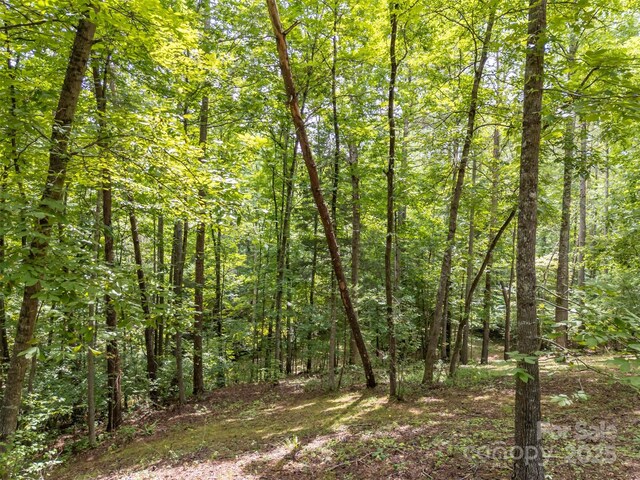 LOT119 Creekside Cir, Rutherfordton, NC 28139 - photo 31