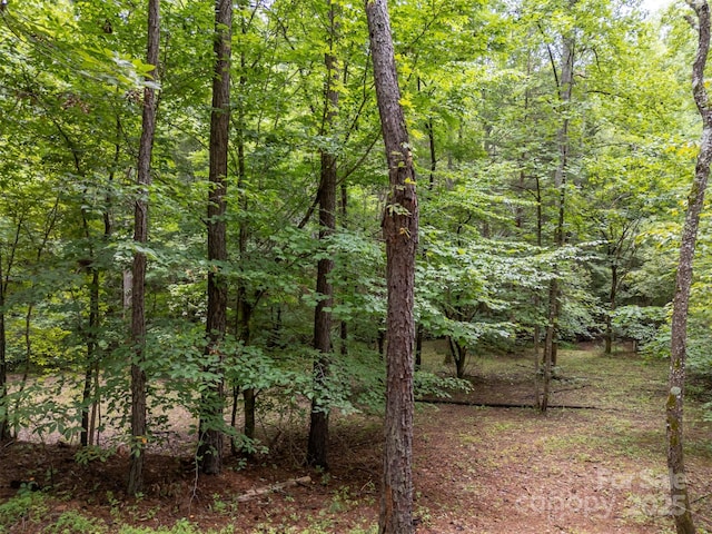 LOT119 Creekside Cir, Rutherfordton, NC 28139 - photo 32
