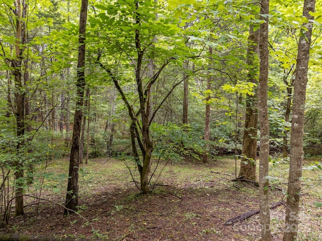 LOT119 Creekside Cir, Rutherfordton, NC 28139 - photo 33