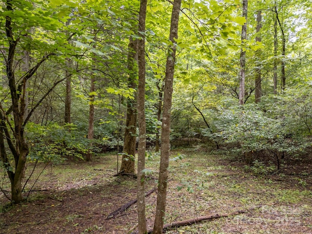 LOT119 Creekside Cir, Rutherfordton, NC 28139 - photo 34