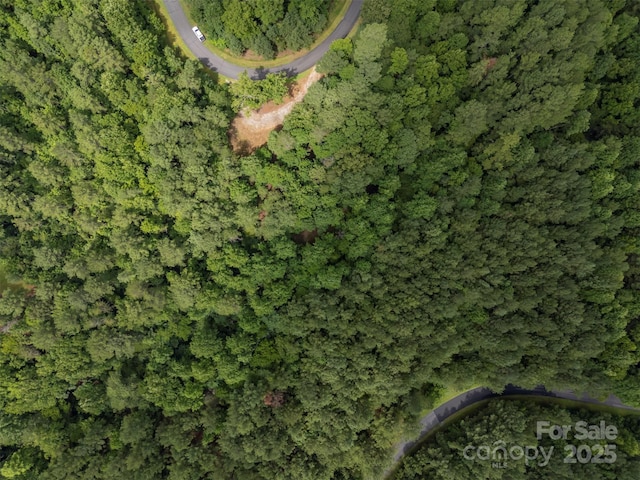 LOT119 Creekside Cir, Rutherfordton, NC 28139 - photo 35