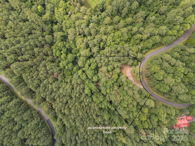 LOT119 Creekside Cir, Rutherfordton, NC 28139 - photo 37