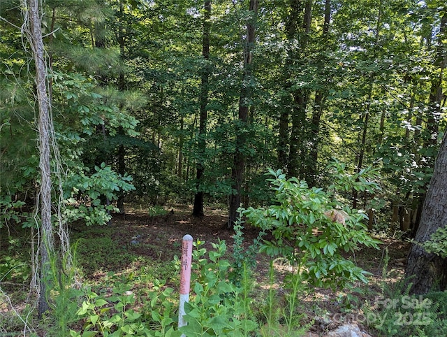 LOT119 Creekside Cir, Rutherfordton, NC 28139 - photo 40