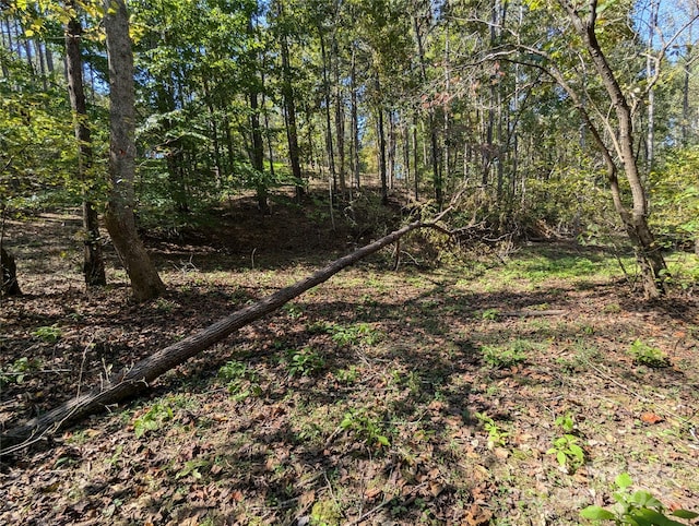 LOT119 Creekside Cir, Rutherfordton, NC 28139 - photo 41