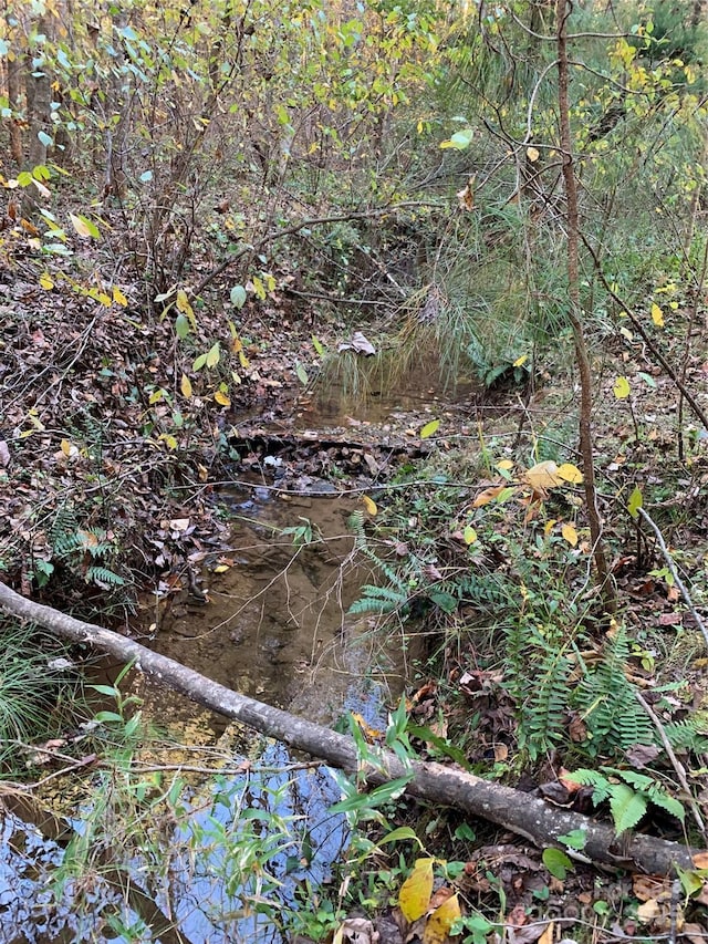 LOT119 Creekside Cir, Rutherfordton, NC 28139 - photo 42