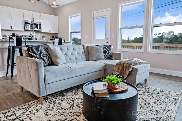 living room featuring hardwood / wood-style flooring and plenty of natural light