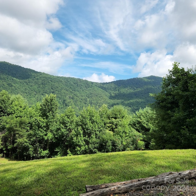 view of mountain feature