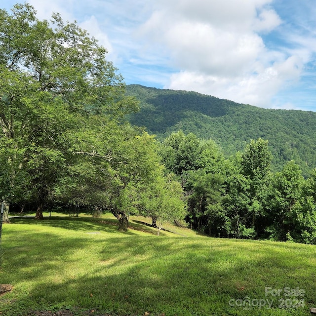 view of mountain feature