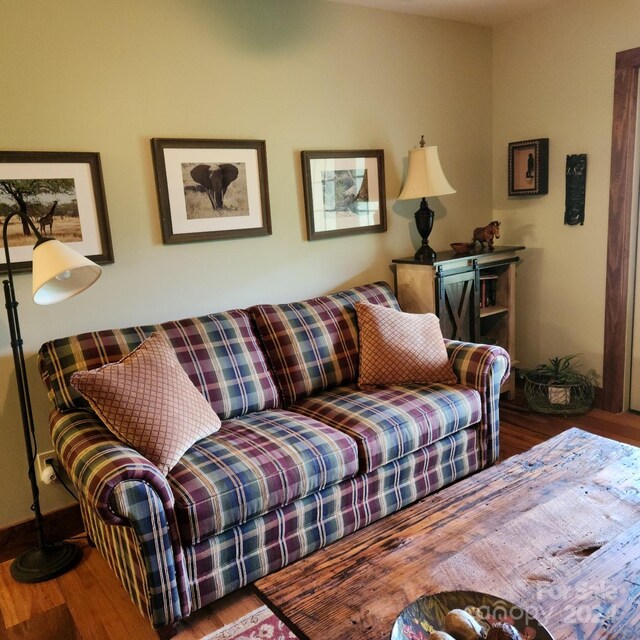 living room with hardwood / wood-style flooring