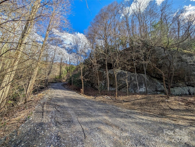 72 Pilgrims Ln, Burnsville, NC 28714 - photo 47