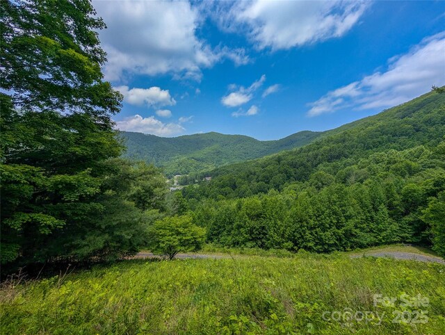 72 Pilgrims Ln, Burnsville, NC 28714 - photo 43