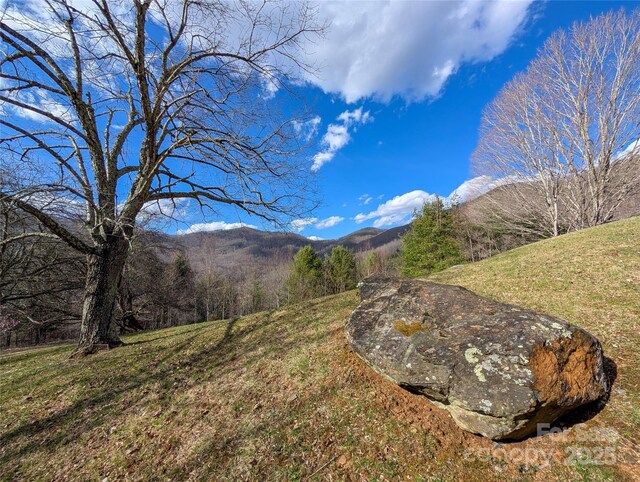 72 Pilgrims Ln, Burnsville, NC 28714 - photo 44