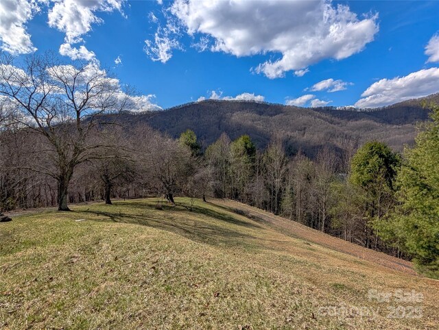 72 Pilgrims Ln, Burnsville, NC 28714 - photo 45