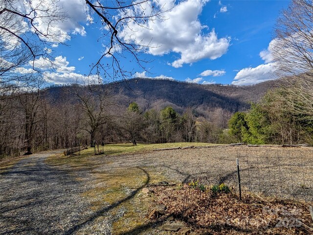 72 Pilgrims Ln, Burnsville, NC 28714 - photo 46
