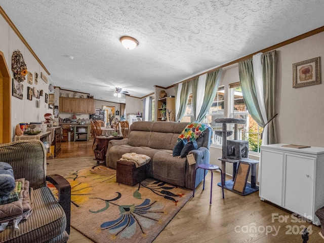 living room featuring a textured ceiling, light hardwood / wood-style flooring, ceiling fan, and crown molding