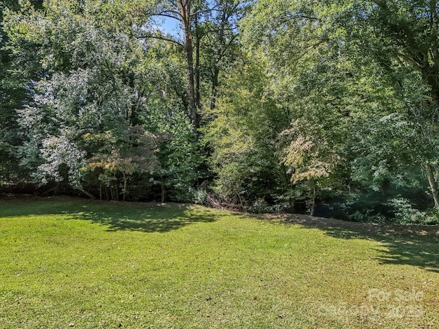 282 Reagan Ln, Bostic, NC 28018 - photo 25