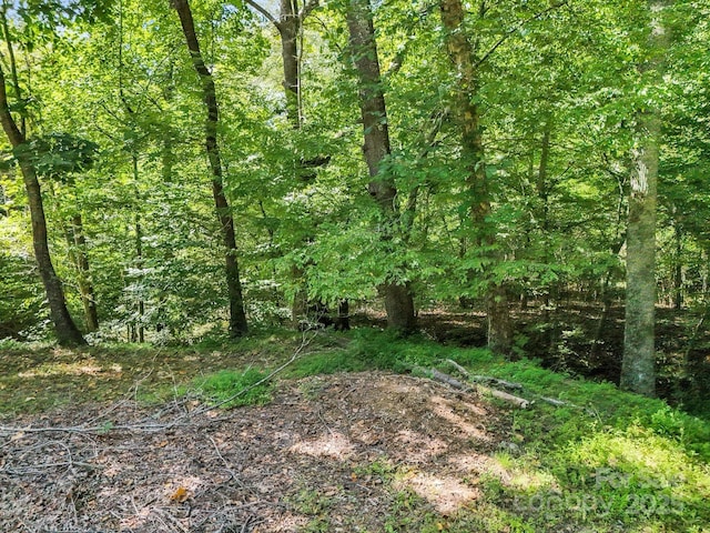 282 Reagan Ln, Bostic, NC 28018 - photo 27