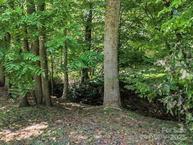 282 Reagan Ln, Bostic, NC 28018 - photo 28