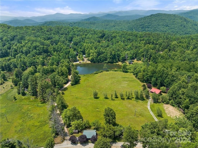 bird's eye view featuring a water and mountain view