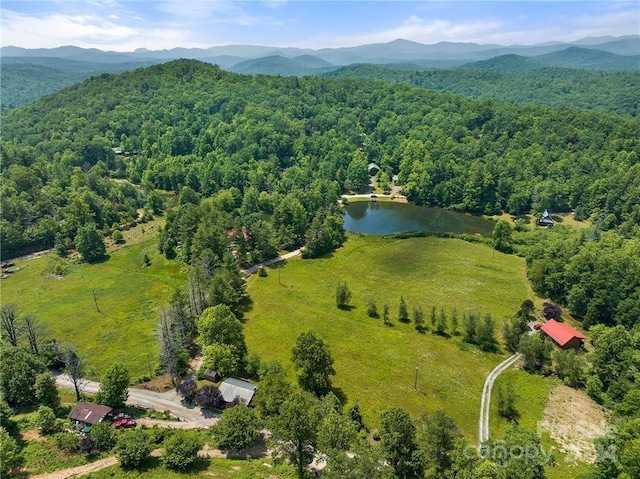 birds eye view of property with a water and mountain view