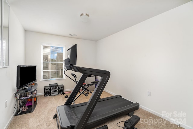 exercise room featuring carpet