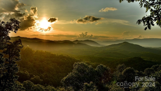 view of mountain feature with a view of trees