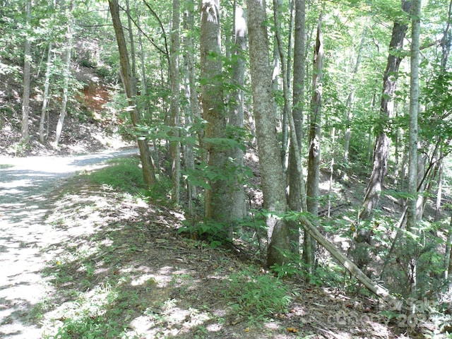 Listing photo 2 for LOT93 Rock Spring Rd, Lake Lure NC 28746