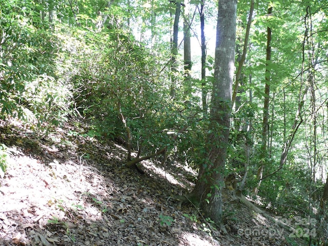 Listing photo 3 for LOT93 Rock Spring Rd, Lake Lure NC 28746