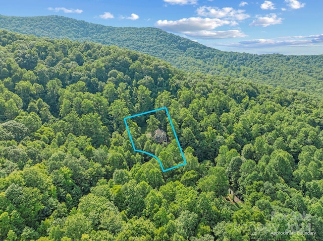 drone / aerial view featuring a mountain view and a forest view