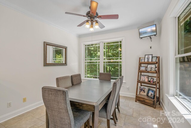 dining area with ceiling fan, ornamental molding, stone tile floors, and baseboards