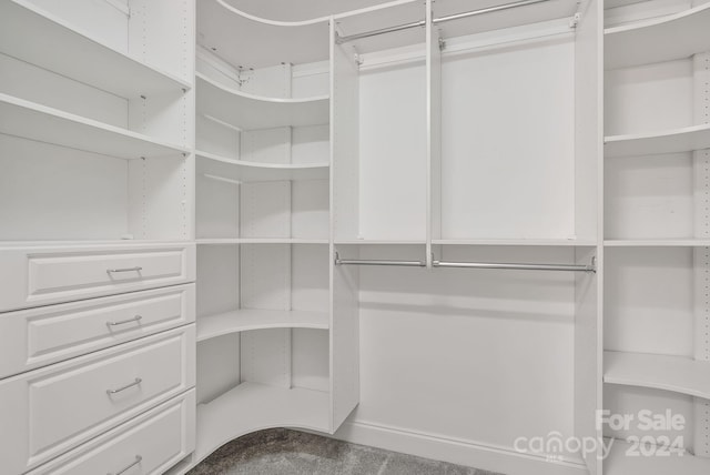 spacious closet with carpet flooring