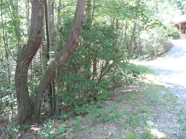 Listing photo 2 for LOT205 Knob Ln, Lake Lure NC 28746