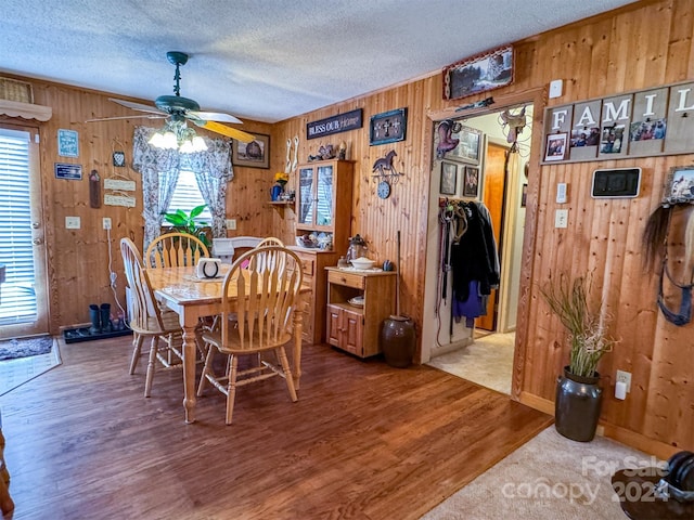 dining room featuring wood walls and a healthy amount of sunlight