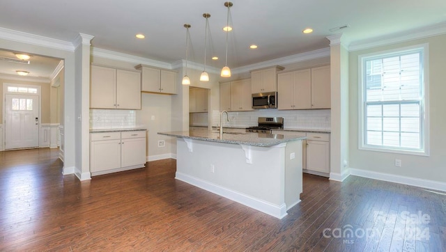 kitchen with dark wood-type flooring, appliances with stainless steel finishes, and plenty of natural light