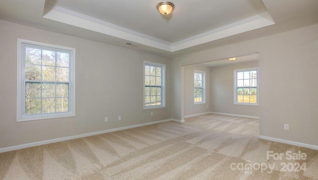 empty room with crown molding, a tray ceiling, and light colored carpet